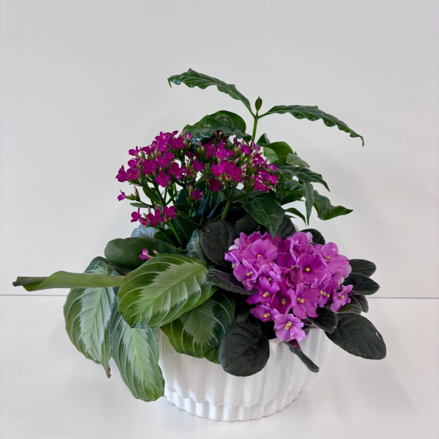 8" Garden Dish