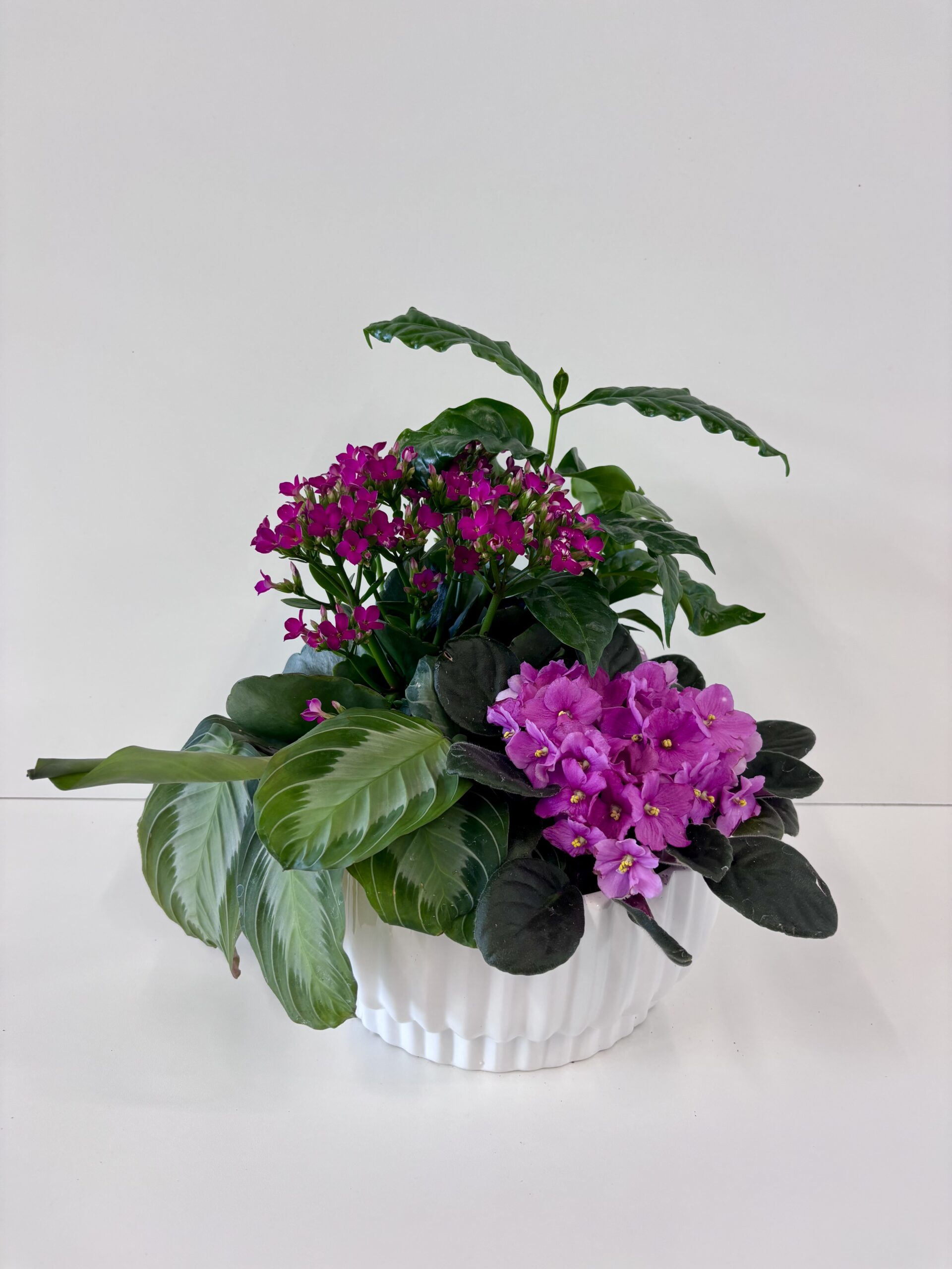 8" Garden Dish