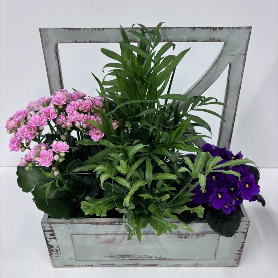 6"x 11" Garden Window Box