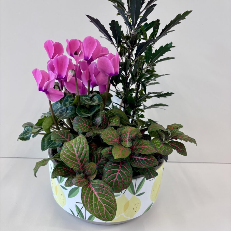 7" Lemon Drop Garden Dish